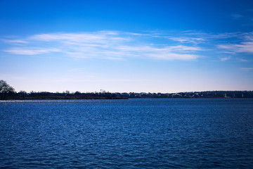 Picturesque forest and the river