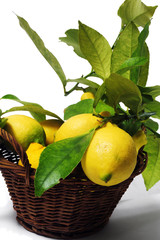 lemons with leaves