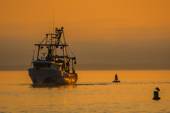 Fototapeta Shrimp Fishing Boat in Gulf of Mexico at sunset
