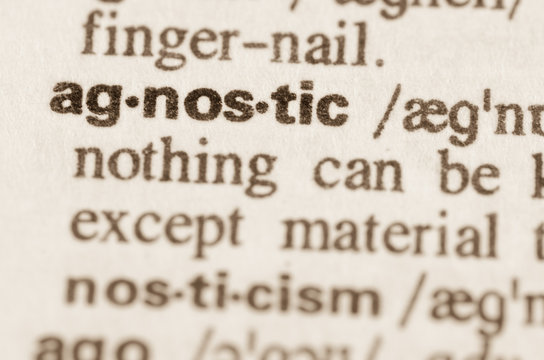 Dictionary Definition Of Word Agnostic