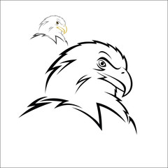 Eagle head