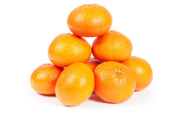 oranges on white background