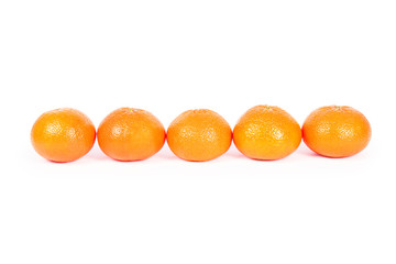 oranges on white background