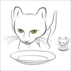 Hungry Cat