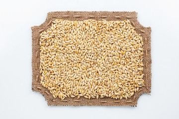 Figured frame made of burlap and  barley  grains