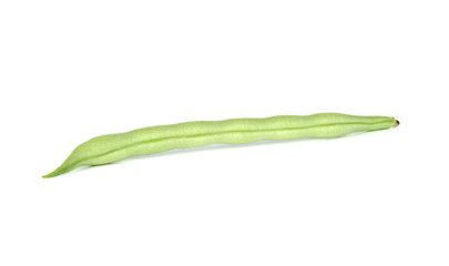 common bean isolated on white background