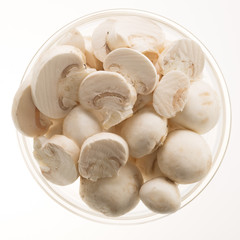 Button Mushrooms Isolated
