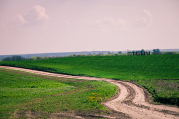 Beatiful morning green field with blue heaven