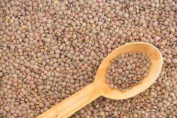 Spoonful of brown lentils over a lentil background