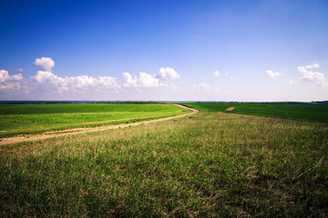 Beatiful morning green field with blue heaven