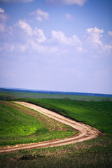 Beatiful morning green field with blue heaven
