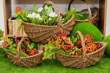 Fototapeta na wymiar spring baskets of flowers and berries on the grass