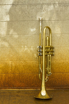 Old Trumpet