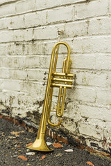 Obraz na płótnie Canvas Old Trumpet Brick Wall