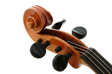 Violine Schnecke
