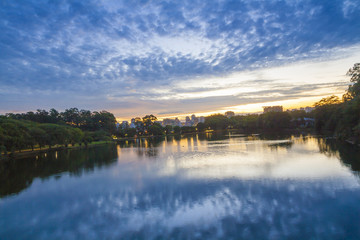 Pond at Ibirapuera park in Sao Paulo, Brazil