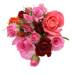 薔薇