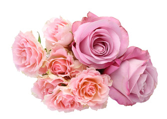薔薇