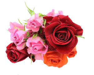 薔薇