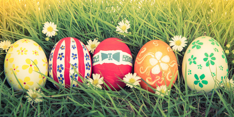 Easter Eggs with flower on Fresh Green Grass ( Filtered image pr