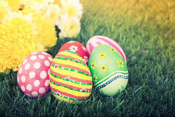 Easter Eggs with flower on Fresh Green Grass ( Filtered image pr