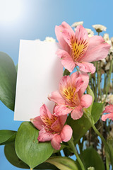 beautiful bouquet of lilies,  card against  blue sky and sun.