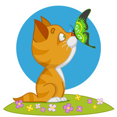 kitten and butterfly