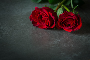 Two red roses on slate tile