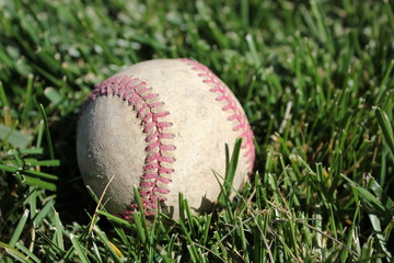 Baseball in grass