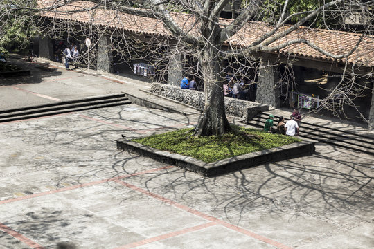 riices sombras