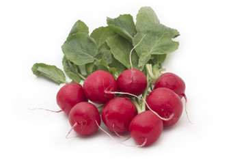 red radish