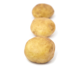 potatoes on a white background