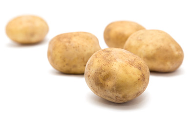 potatoes on a white background