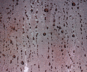 water drops on brown leather