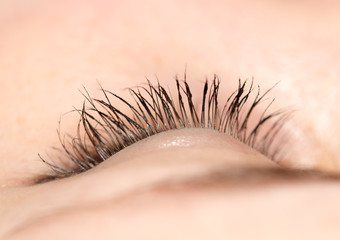 Closeup view of eye lashes