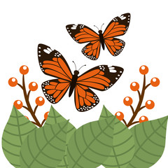 butterflies card