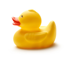 One yellow duck toy