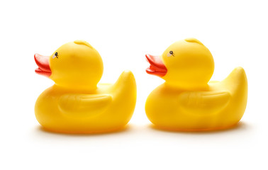 Two yellow duck toys