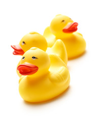Three yellow duck toys