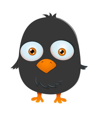 Cute Small Bird Character