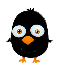 Cute Scared Black Bird