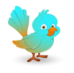 Bird Vector