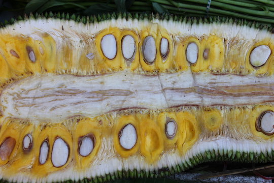 Jackfrucht