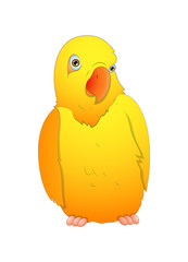 Cute Cartoon Bird Vector Illustration