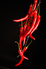 Bundle of hot peppers