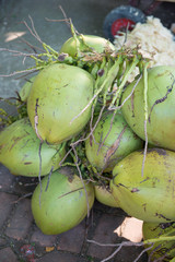 fresh coconut from coconut tree