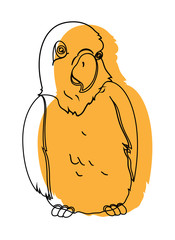Cute Parrot Drawing