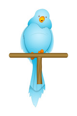 Bird Cartoon Sitting on Branch