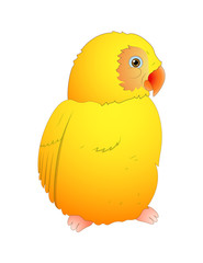 Cute Cartoon Bird Vector Illustration