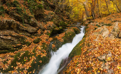 Waterfall in autumn canyon. Natural landscape
